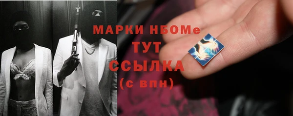шишки Абаза