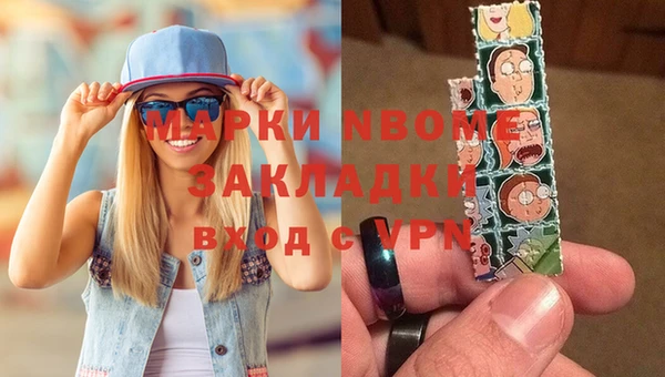 шишки Абаза