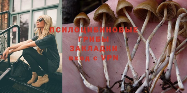 шишки Абаза