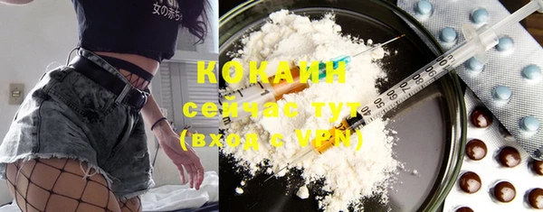 шишки Абаза