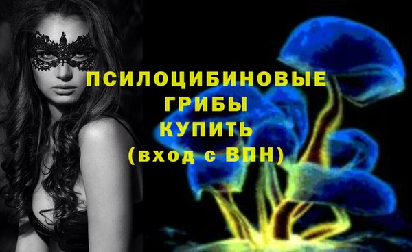 бутират Кинешма