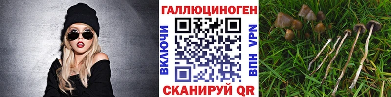 что такое   Зеленокумск  Галлюциногенные грибы мухоморы 