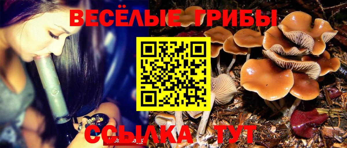 Псилоцибиновые грибы GOLDEN TEACHER Зеленокумск
