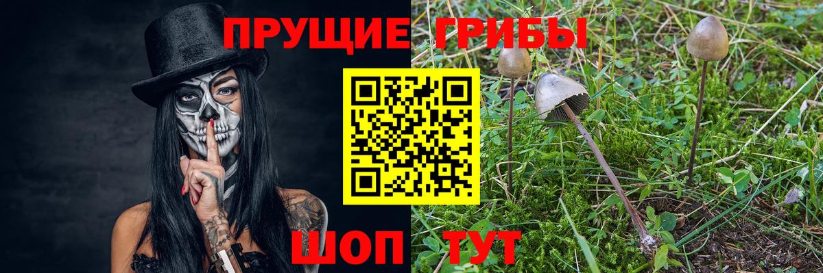 Зеленокумск  Гашиш  Вход с VPN  Меф МЯУ МЯУ кристаллы  Конопля 